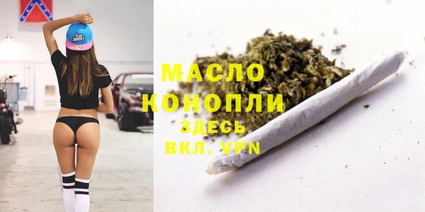 индика Апатиты