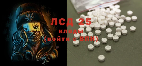 винт Губаха