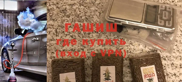 индика Апатиты