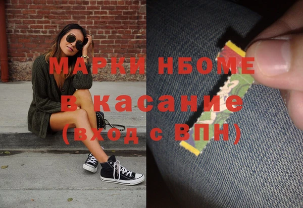 индика Апатиты