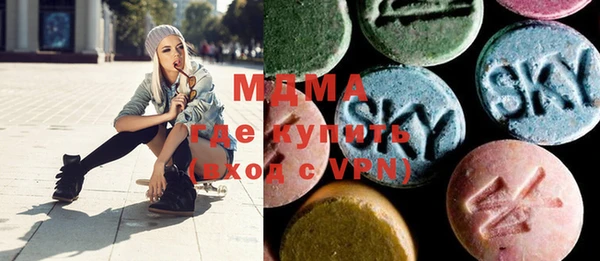 индика Апатиты