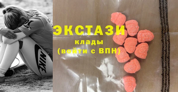 индика Апатиты