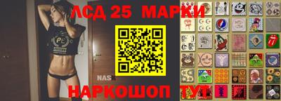 шишки Абакан