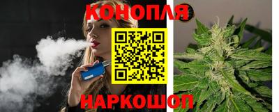 альфа пвп Волгодонск