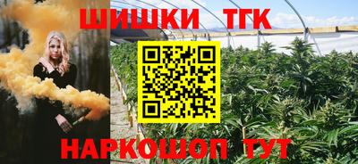 шишки Абакан