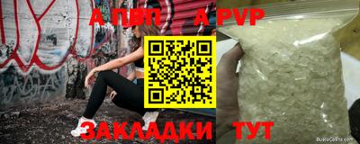 шишки Абакан