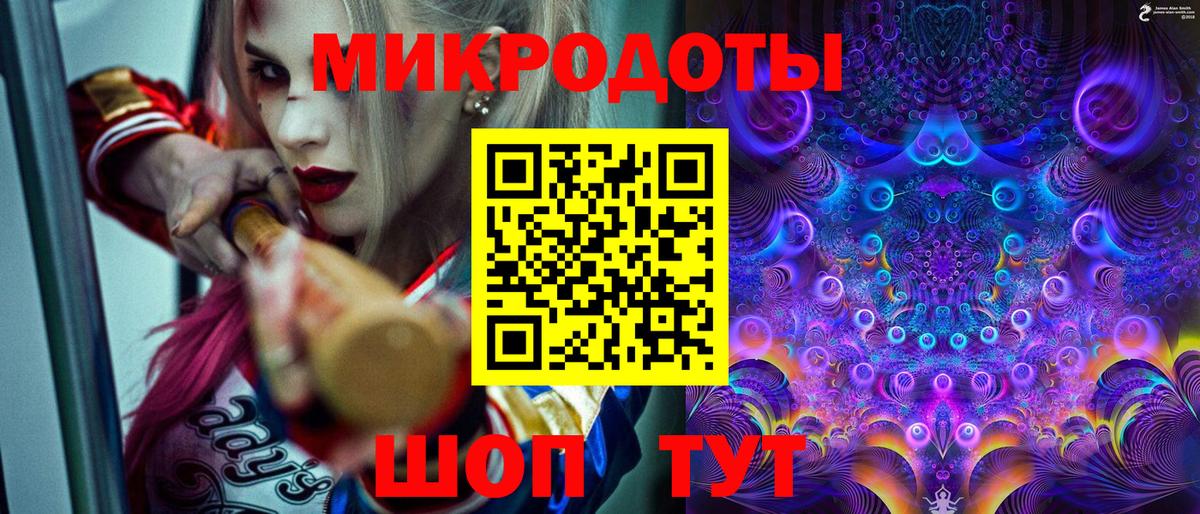 Галлюциногенные грибы Psilocybe Анжеро-Судженск