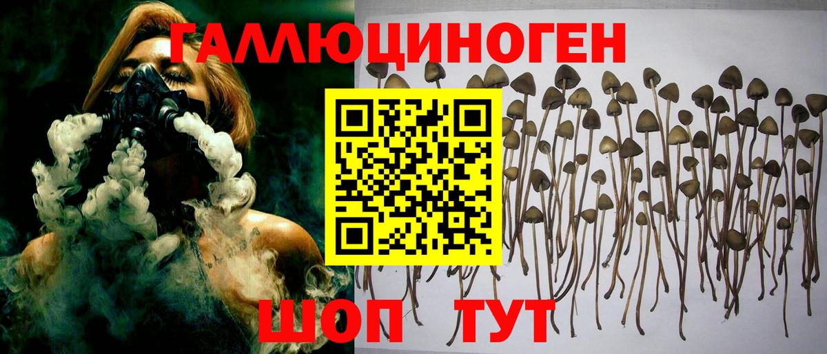 Анжеро-Судженск  наркошоп  Вход с VPN  Галлюциногенные грибы прущие грибы  Галлюциногенные грибы Magic Shrooms 